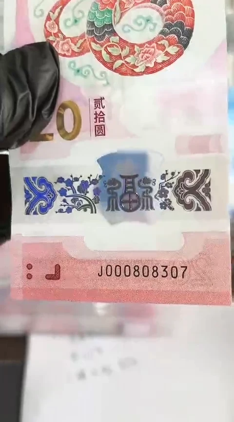 【闪购商品】塑料蛇钞单张号码000808307