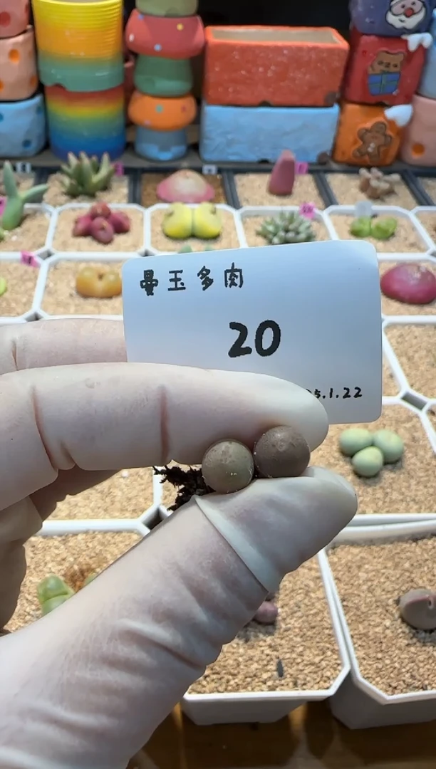 【闪购商品】25.1.22-20