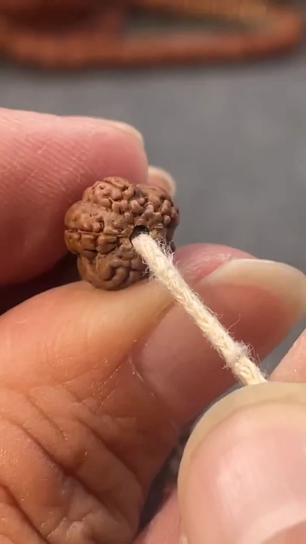 手串金刚菩提原生态梅花长串+礼盒