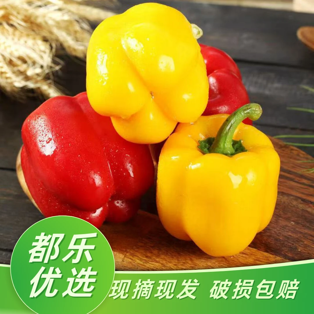 都乐优选精品彩椒辣椒3斤