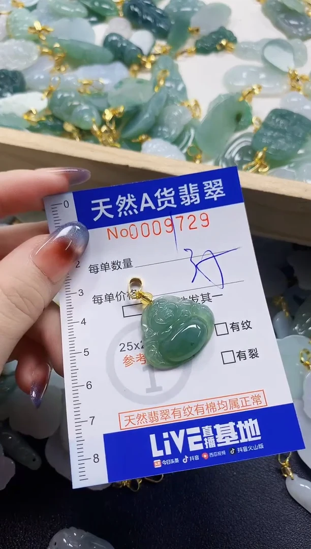 颈饰未镶嵌翡翠淄****家天然A货翡翠