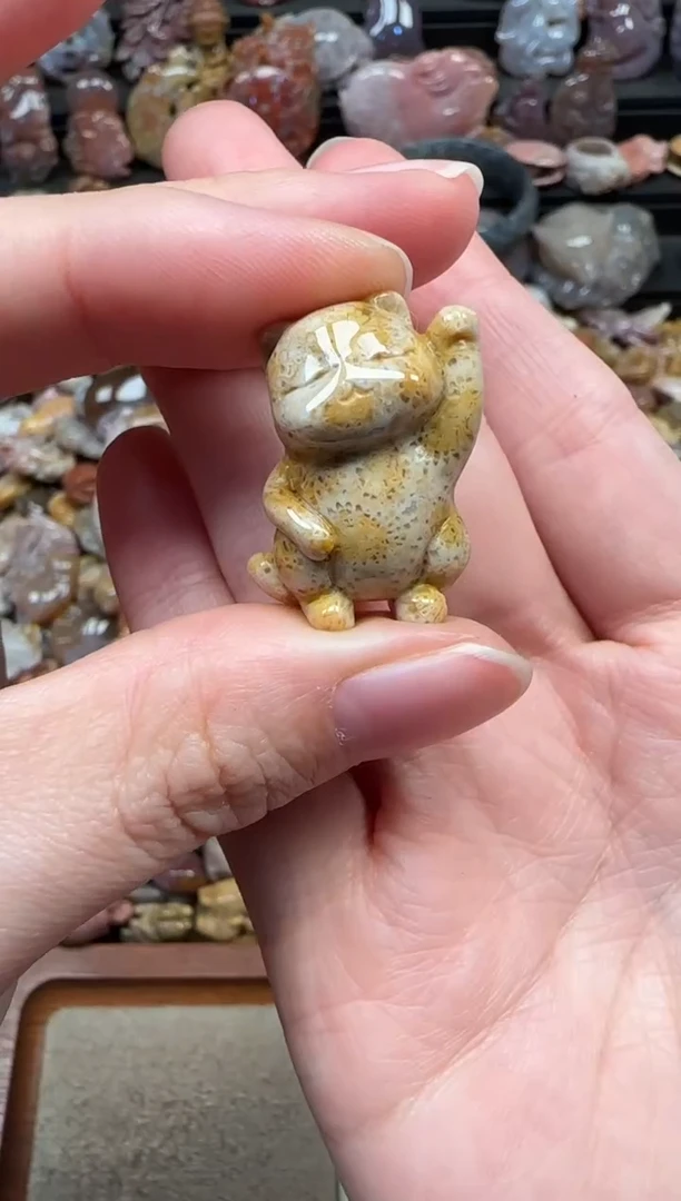 颈饰未镶嵌硅化珊瑚（珊瑚玉）287