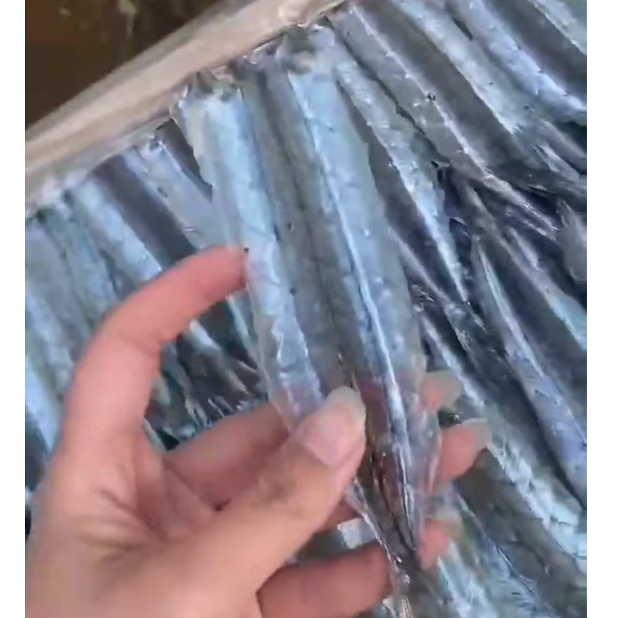 马步鱼 针鱼片  烧烤棒棒鱼