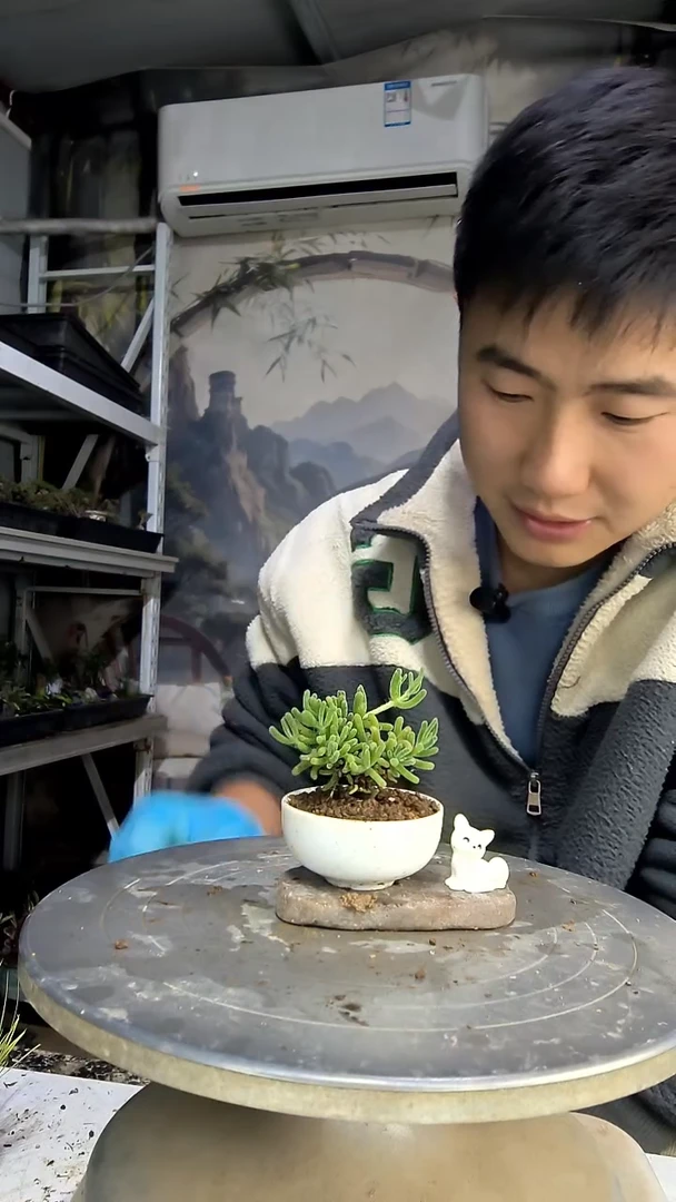 多*?中青园艺一物一拍花197
