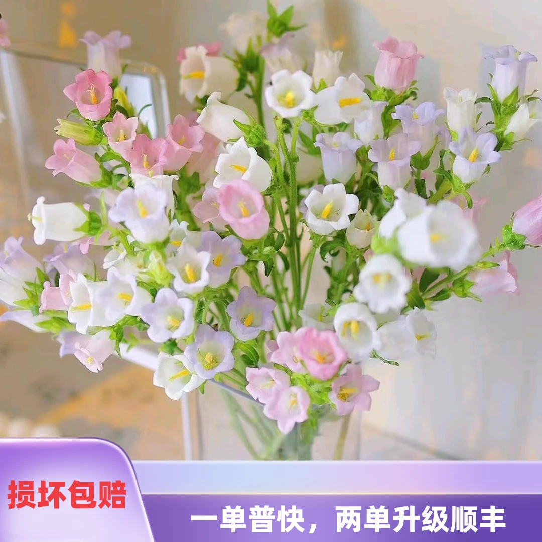 【风铃花专属链接】   任意2单升级顺丰冷链