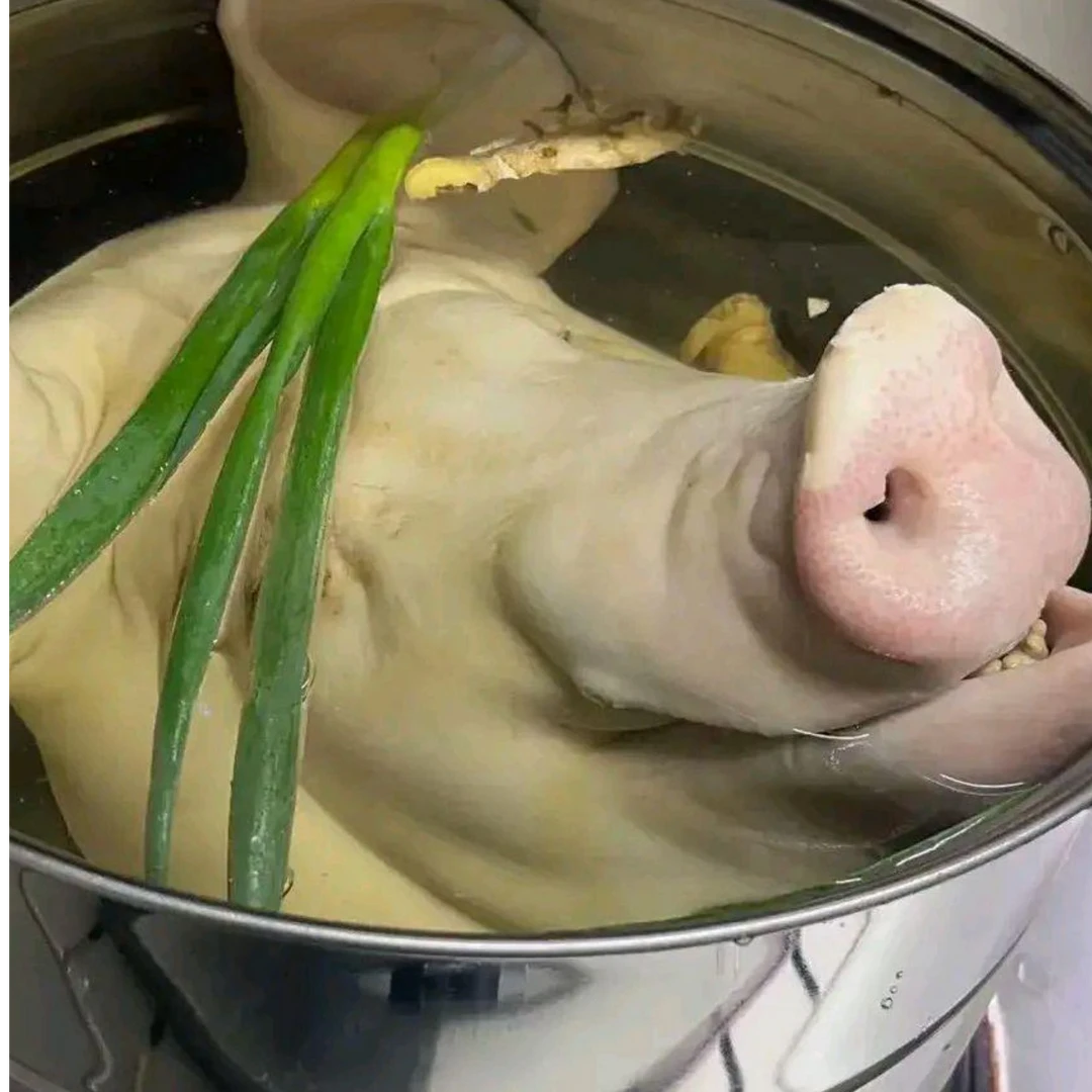【 猪 头 】 农村粮食猪