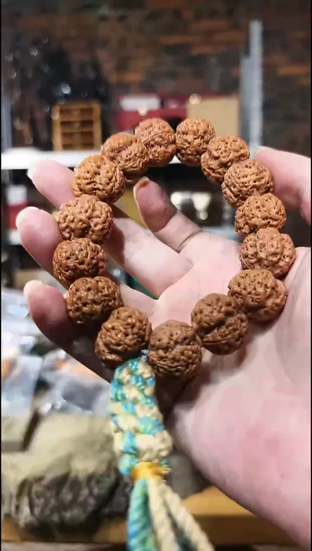 胡桃木     大金刚