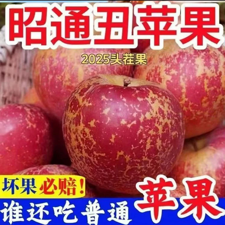 正宗云南昭通丑苹果新鲜现摘脆甜爽口冰糖心