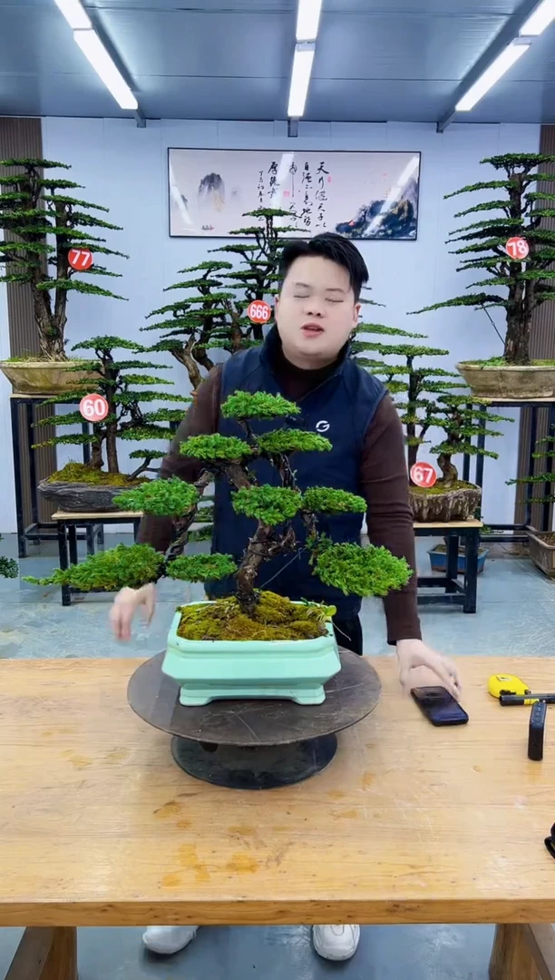 以实际为准000000000