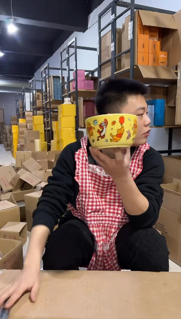 【闪购商品】杯维尼大碗 陶瓷材质
