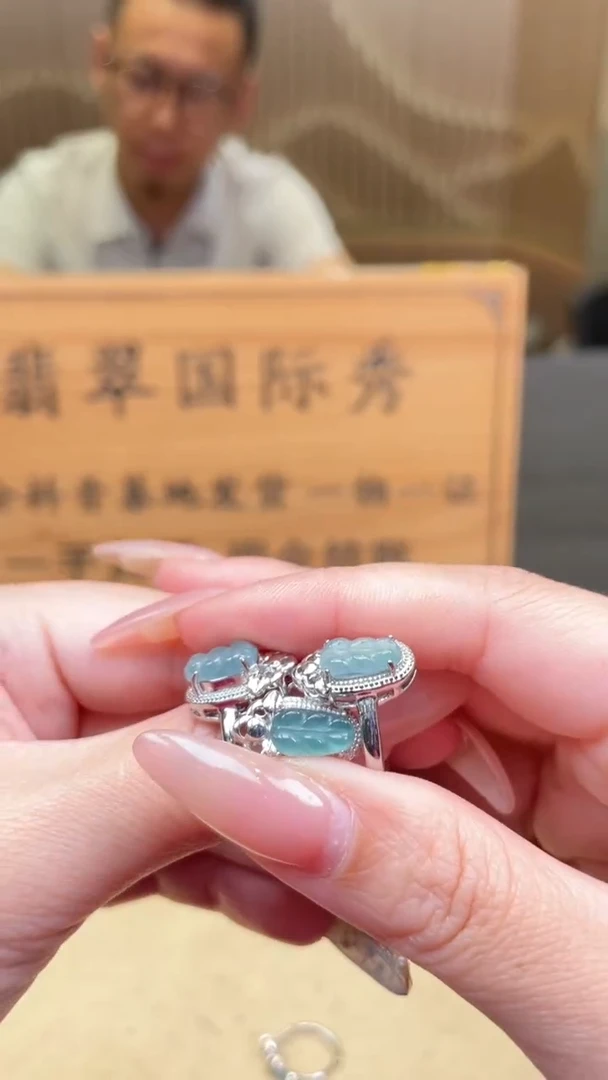 翡翠未镶嵌颈饰多样性发货 (只发一件) *A1