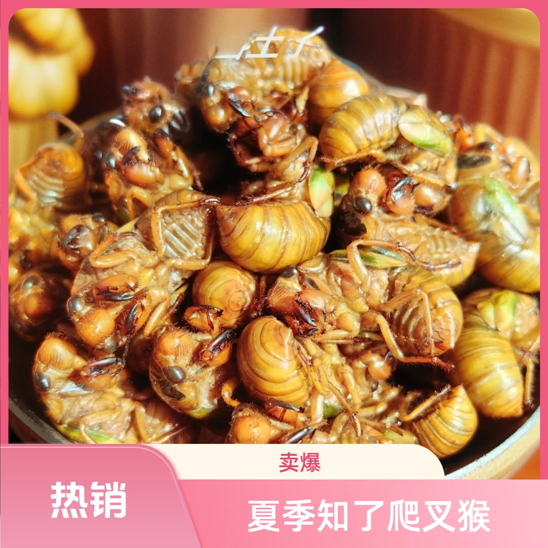 夏季新鲜知了爬叉猴山东速冻蝉蛹冷冻唐僧肉味道鲜美