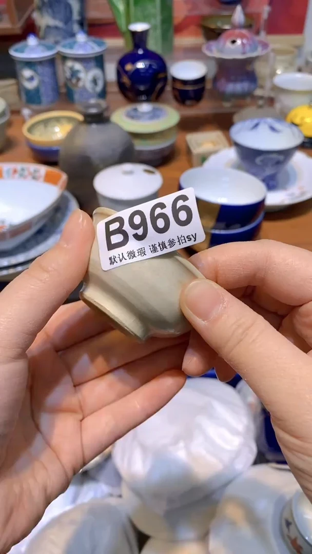 【闪购商品】思羽甄选壹号商品BB966