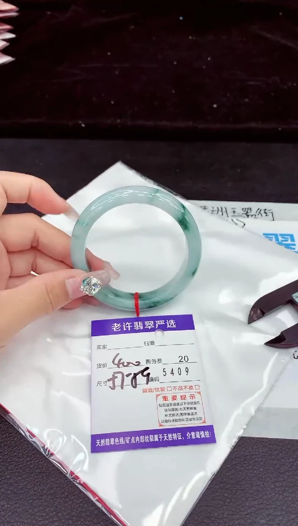 未镶嵌手镯翡翠1