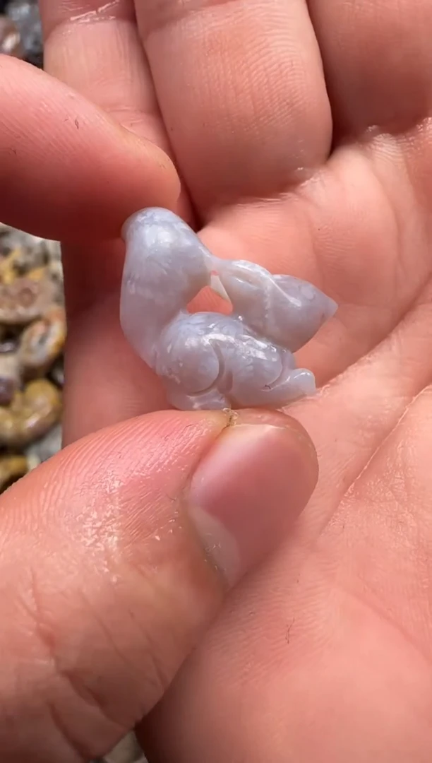 【闪购商品】硅化珊瑚（珊瑚玉）颈饰未镶嵌745