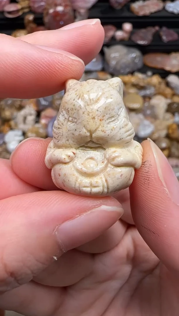 硅化珊瑚（珊瑚玉）未镶嵌颈饰390