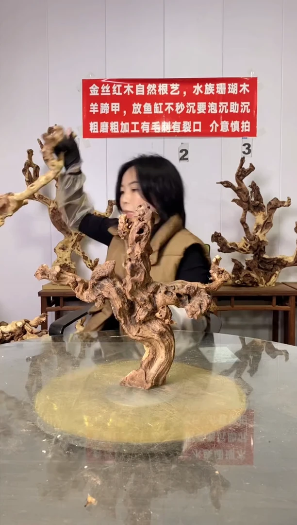 【闪购商品】金丝红木 羊蹄甲 金丝红木 羊蹄甲