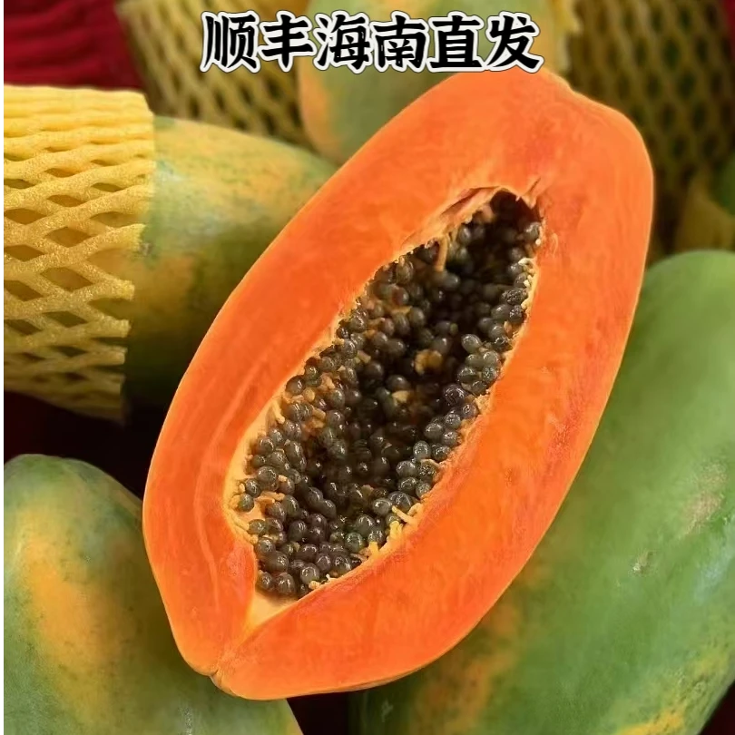 【顺丰直发·冰糖红心木瓜】海南·鲜摘现发·树上熟·红心冰糖牛奶木瓜