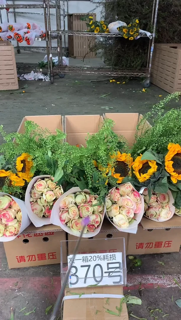 370号♥中通含20%耗损发一箱