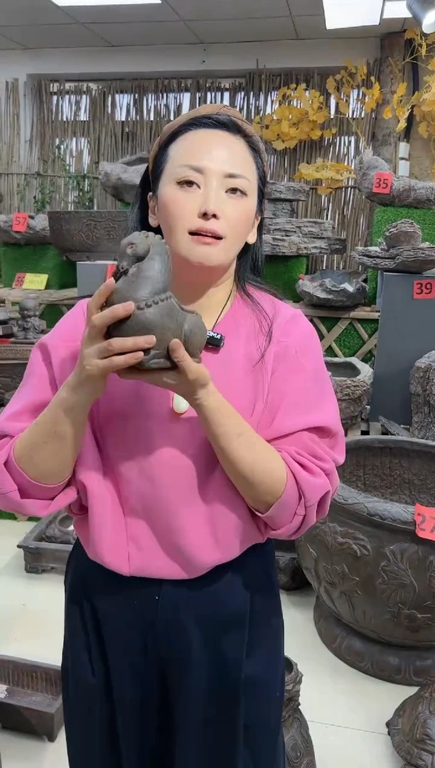【闪购商品】复合盆，马