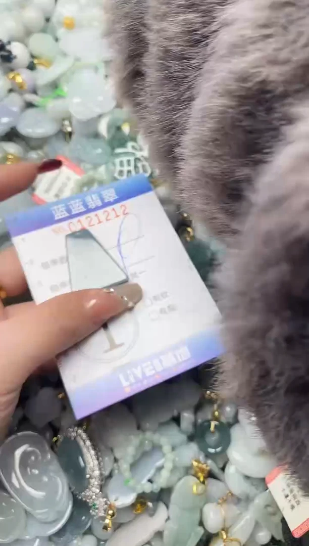 【闪购商品】翡翠颈饰未镶嵌闪购0121212