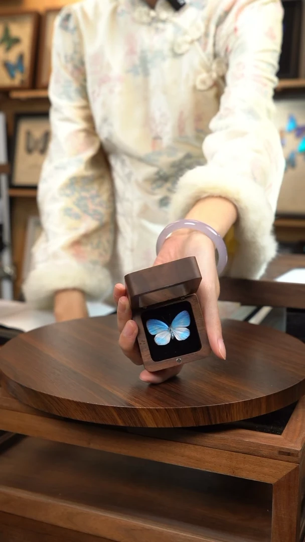 天空蓝优雅灰蝶胡桃木款