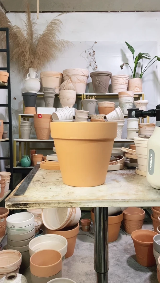 23*21红陶国际 1盆无托