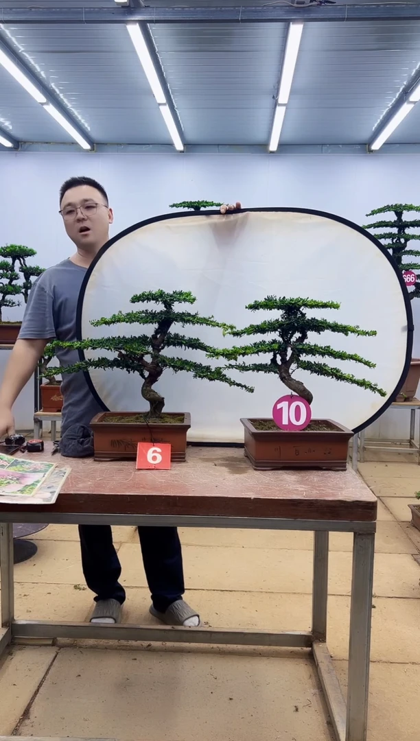 无花朵一物一拍，所见即所得