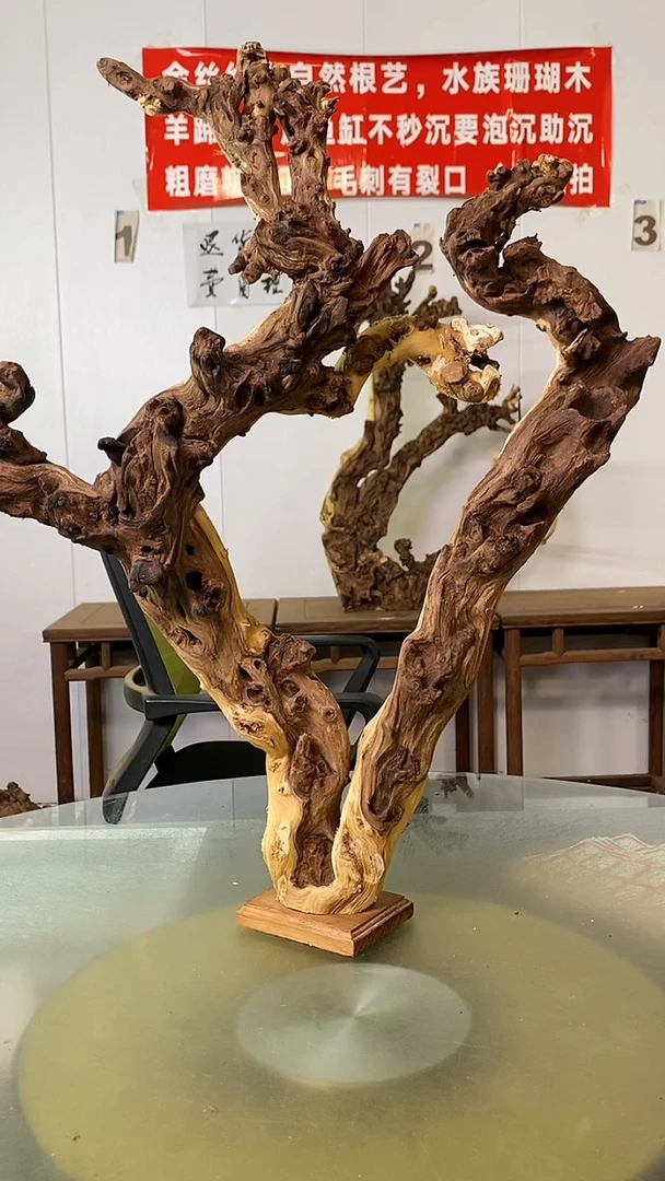 木有**失金丝红木 羊蹄甲