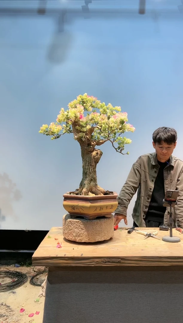 【闪购商品】AA939