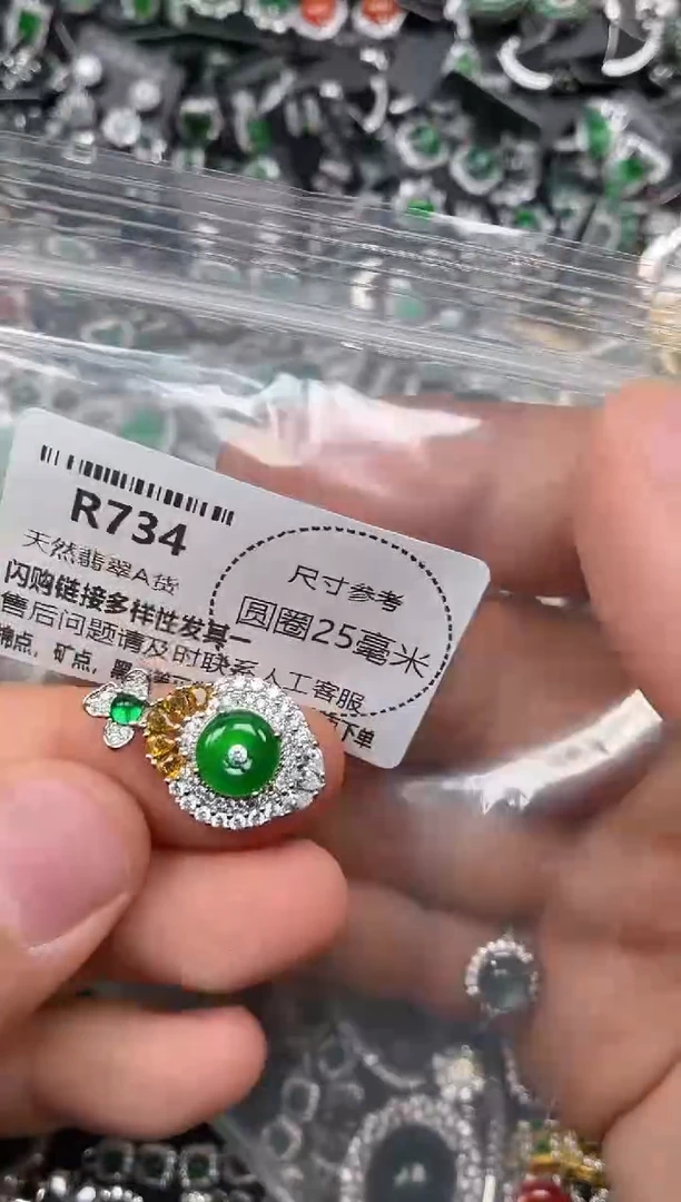 翡翠未镶嵌颈饰R734吊坠