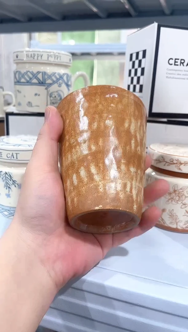 其他陶瓷（简装）杯子一个