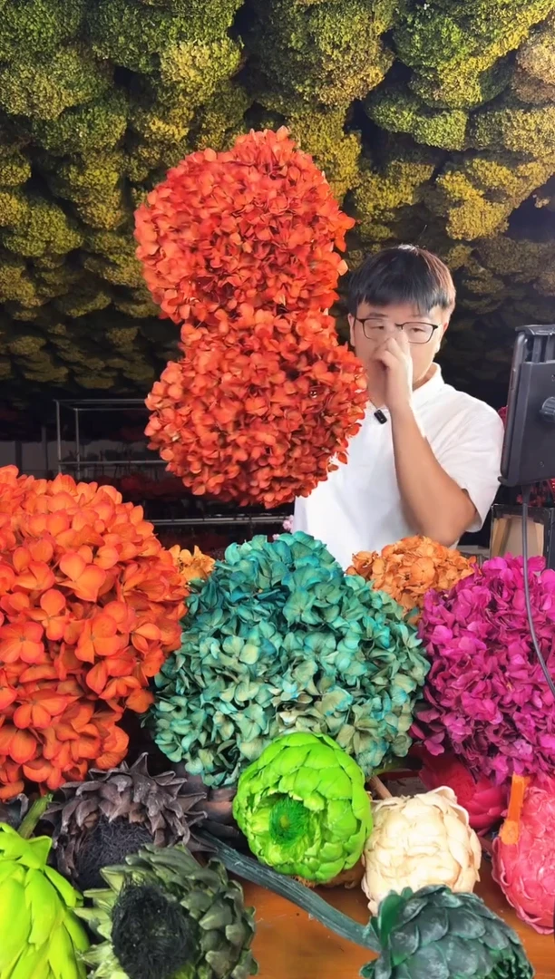 257  山前小麦 · 荷兰进口永生大叶绣球  2枝（橙）