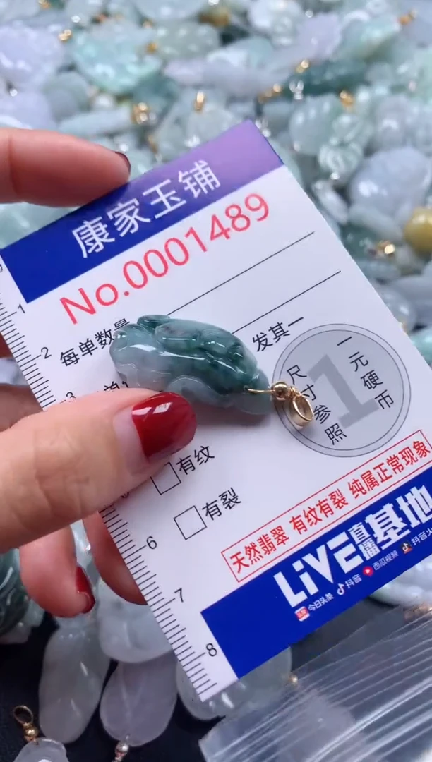 颈饰未镶嵌翡翠1489