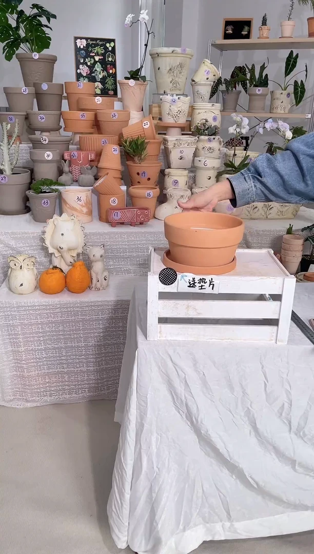 【闪购商品】红陶1套带托 红陶矮宽盆 口径21*11