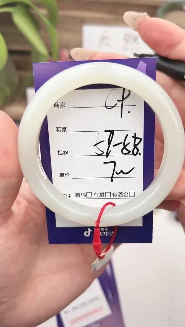未镶嵌手镯和田玉微色差C9