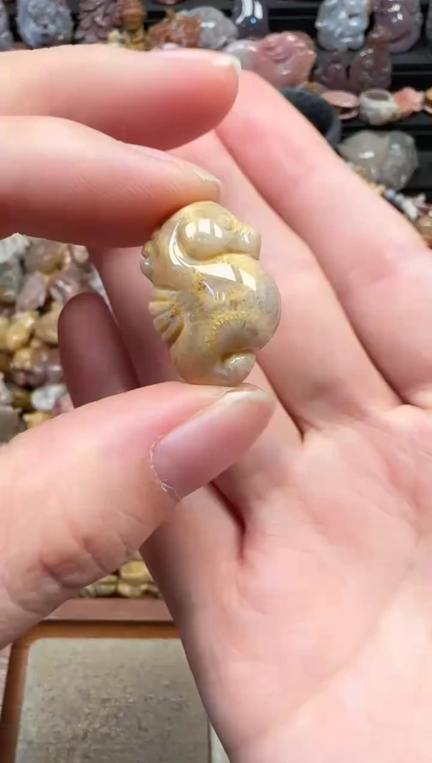 颈饰未镶嵌硅化珊瑚（珊瑚玉）463