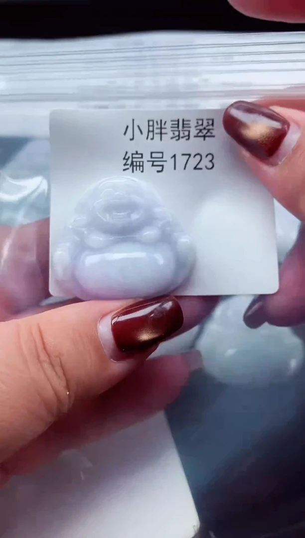 颈饰未镶嵌翡翠缅甸天然A货翡翠1723