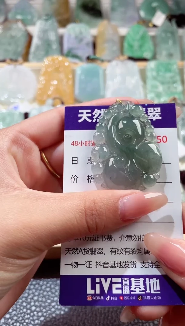 翡翠未镶嵌颈饰0000012345