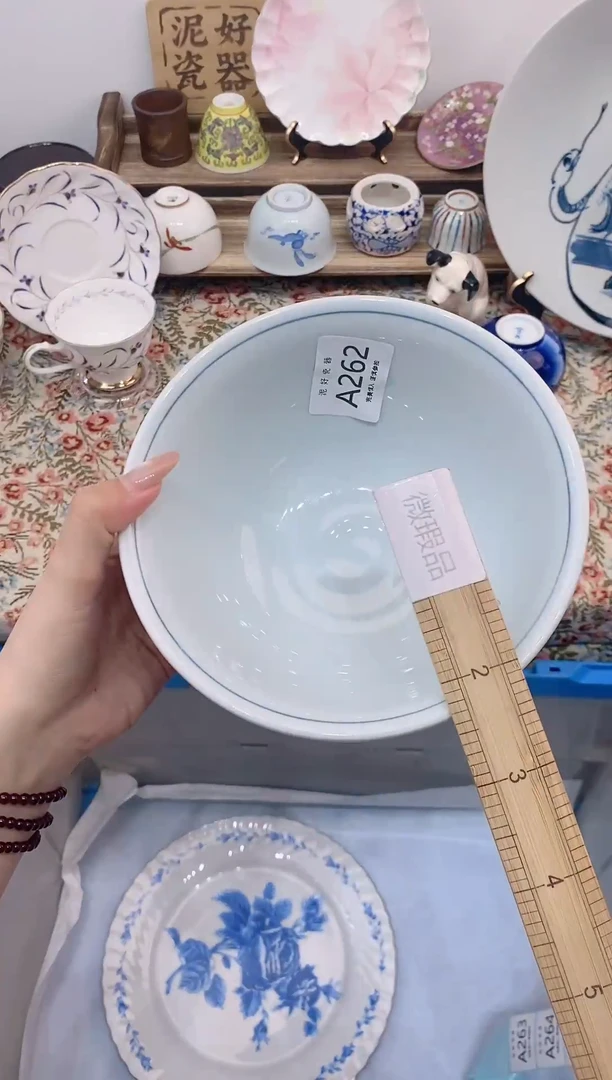 瓷片                A262