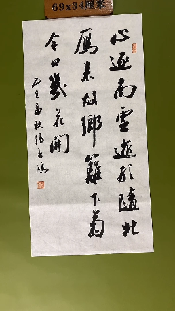 书法书法 张若鸿 尺寸69cm*34cm