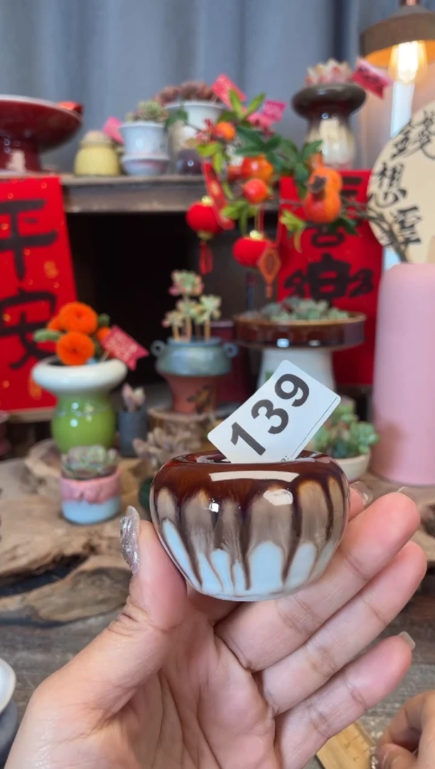 【闪购商品】摆件139知木小芳花盆