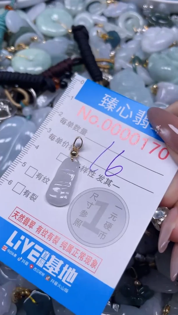 颈饰未镶嵌翡翠170