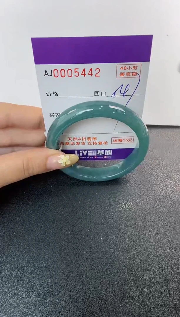 未镶嵌手镯翡翠天然A货翡翠