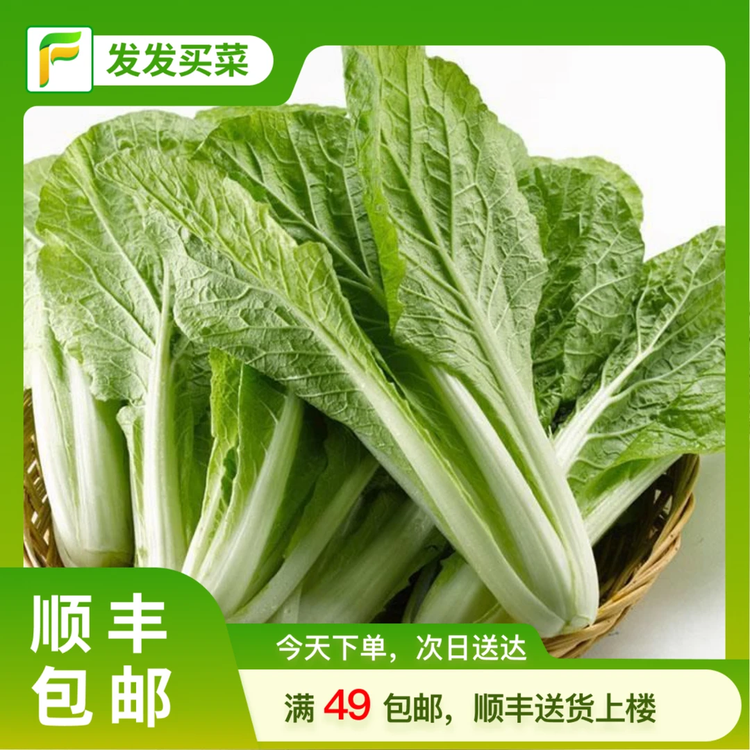 新鲜小白菜250±5g/份蔬菜小白菜