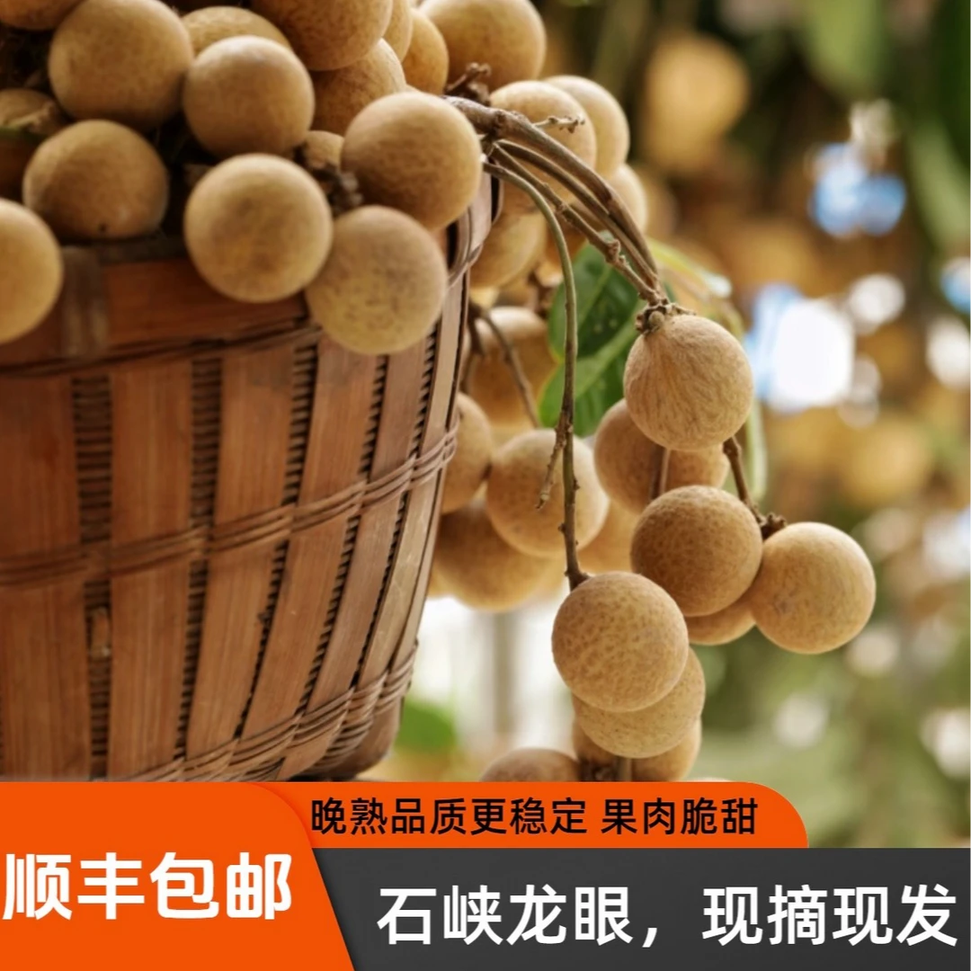 正宗广东石硖龙眼新鲜现摘产地直发爽脆清甜5斤坏果包赔顺丰/京东