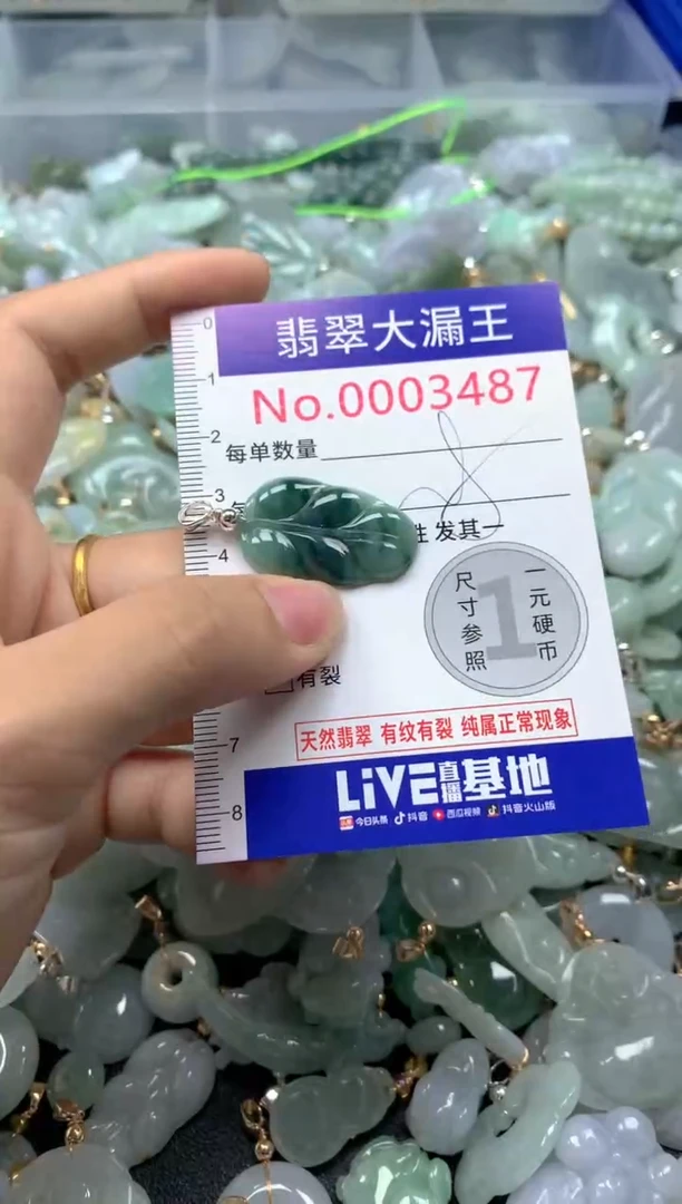 颈饰未镶嵌翡翠3487