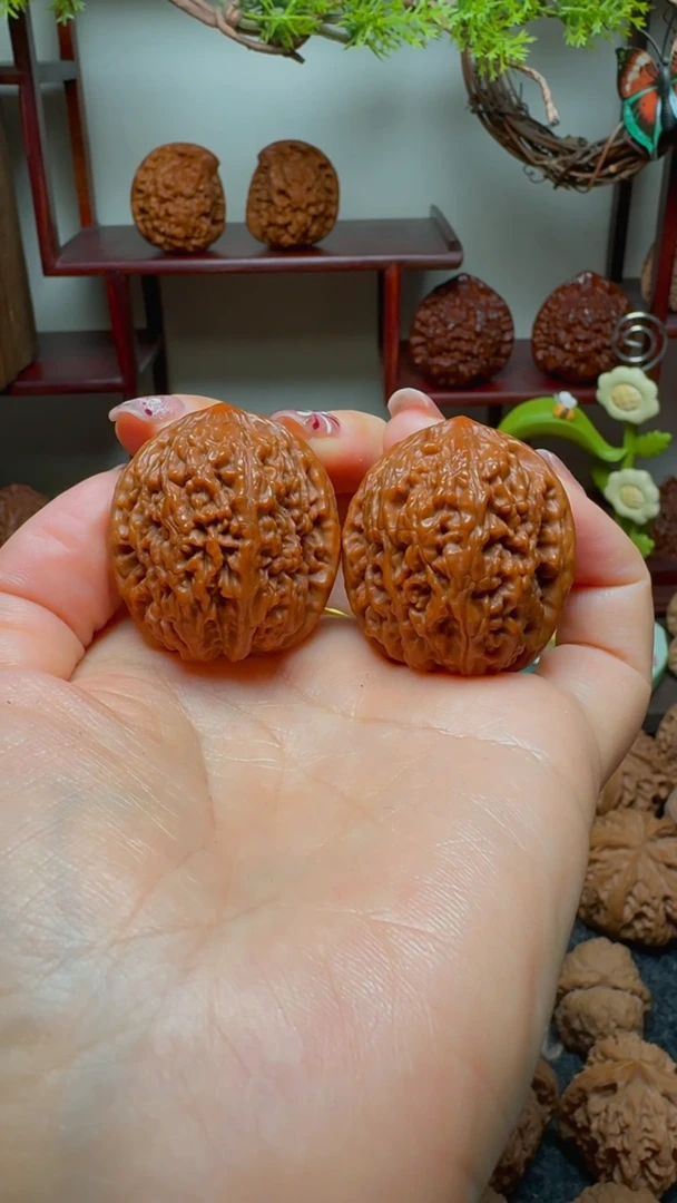 【闪购商品】文玩核桃把件大蒜头肚36