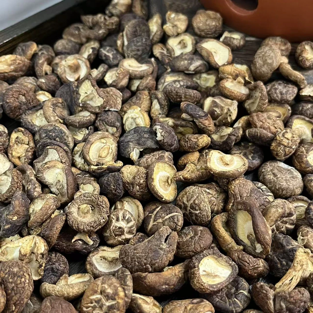 【云南小香菇】云南山货溯源  500g