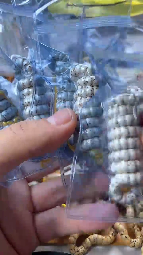 【闪购商品】星月菩提手串海南星月菩提白石玉蒜瓣大肠6